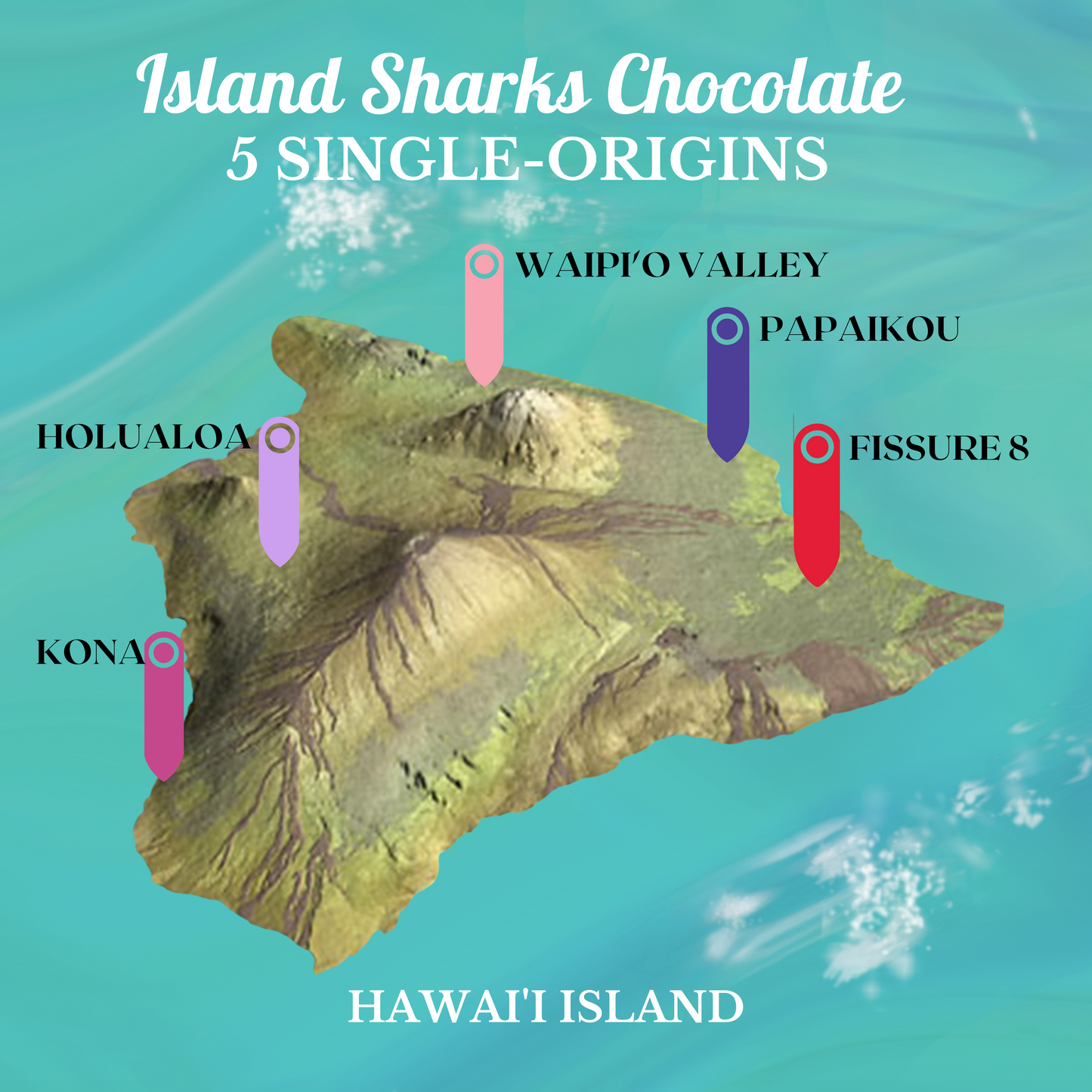 100% Pure Hawaiian Cacao Tea-5